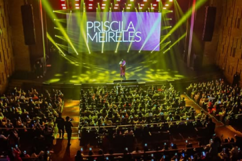 Priscila Meireles transforma caso do avião em versão musical